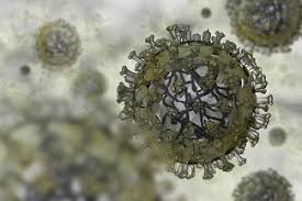 Comparing Sensitivities Rt Pcr Versus Rapid Influenza Diagnostic Test Contagion Live