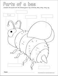 Free coloring sheets to print and download. Parts Of A Bumble Bee Free Printable Kids Activity Http Cleverlearner Com Color The Parts Parts Of A Bee Bee Activities Bee Activity Bee Activities For Kids