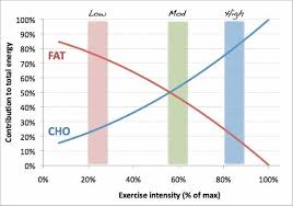 The anaerobic lactic system is possibly the most misunderstood energy system of the three. Low Carb Ketogenic Diets And Exercise Performance