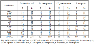 Antibiotic Resistance Profile Of Gram Negative Bacteria