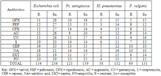 antibiotic resistance profile of gram negative bacteria