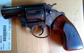 Image result for Atlantic Blue 1983 Colt