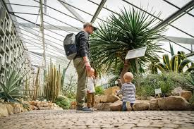 Hamburg Erleben Botanischer Garten Im Planten Un Blomen In 2020 Botanischer Garten Garten Fleischfressende Pflanze
