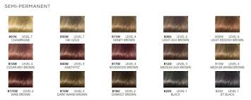 Clairol Soy Color Chart Bedowntowndaytona Com