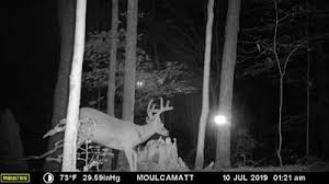We did not find results for: Moultrie Xa7000i Cellular Camera Bowhunting Com Forums