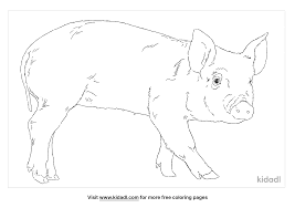 (2008) if you give a cat a cupcake (2008) happy valentine's day, mouse! Sheep Head Coloring Pages Free Animals Coloring Pages Kidadl