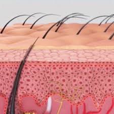 Regrow Your Hair In Just 7 Days 100 Natural Proven Formula Up To Nova Momma