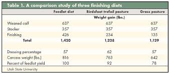 Legume Finished Beef Hay And Forage Magazine