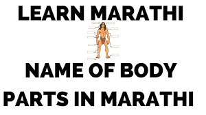 We know all human body parts have different shapes and different functions. List Of Body Parts In Marathi
