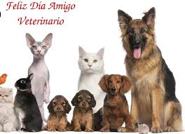 Francisco lópez köstner médico cirujano, cirujano coloproctólogo. El Saludo A Los Medicos Veterinarios Video Diario Expreso Diario Expreso