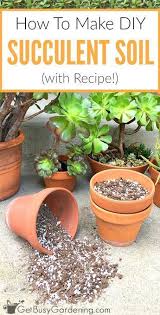 How To Make Your Own Succulent Soil With Recipe Best Soil For Succulents Succulent Potting Mix Succulent Garden Diy