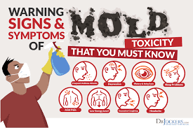 Mold Allergy Symptoms Testing And Natural Treatment Drjockers Com