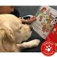 Tails and Tales (Grades K-5) event image