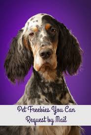 Enter the coupon code into the textbox to make the discounts. Pet Coupons Freebies Two Kids And A Coupon