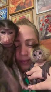 Terri pompay (@animalsclubexotic)'s videos with original sound