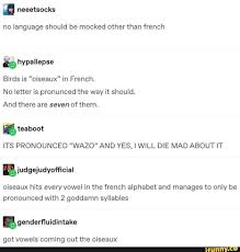 L Is For The Way You Look At Me Meme No Language Should Be Mocked Other Than French Birds Is Oiseaux In French No Letter Is Pronuncecl The Way It Should And There Are Seven Of Them Teaboot I Quirky