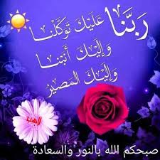 افضل دكتور زراعة الكلى والكبد في الهند مومباي دلهي بنغلور افضل مستشفيات الهند لزراعة الكلية والكبد أ good morning flowers good morning arabic friday pictures