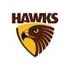 Thus, in 1968 hawks settled in atlanta, where the team has been playing to this day. 1