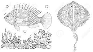 60 images with beautiful views of the fantastic dinosaur park. Coloring Page For Adult Colouring Book Underwater World With Stingray Shoal Tropical Fishes And Ocean Plants Antistress Freehand Sketch Drawing With Doodle Royalty Free Cliparts Vectors And Stock Illustration Image 114502616