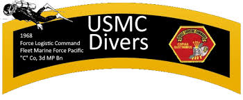 Image result for Yellow 1968 Fleet