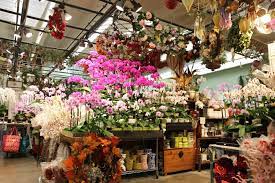 Book the standard downtown la, los angeles on tripadvisor: How To Shop At The Los Angeles Flower Market Ounce Of Salt