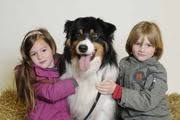 Dog Lovers Gold Hondenforum