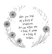 Dandelions Flower Quotes Dandelion Quotes Quotes