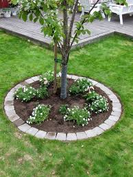 Hier Unter Dem Biggara Baum Gibt Es Einen Rabatt Wir Markieren Dig From Le Aus Bi In 2020 Garten Pflanzen Garten Ideen