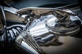 Close-up Of An Old Jaguar Automobile Emblem Jaguar Jaguar Car Car Badges