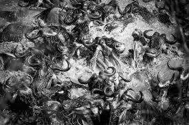 Виктор кук, майк диза, ким сан чжин и др. Karen Lunney Dante S Inferno Lensculture