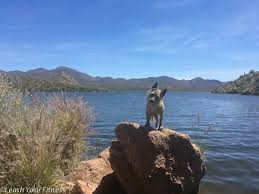 Maybe you would like to learn more about one of these? Bartlett Lake Az Leash Your Fitness