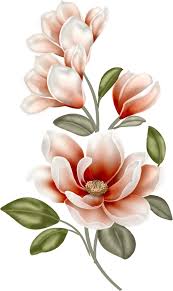 Pin By Riana Lombard On Chalkpaint Flower Painting Flower Art Flower Drawing ¿estás buscando imágenes magnolia flores hd png? pinterest