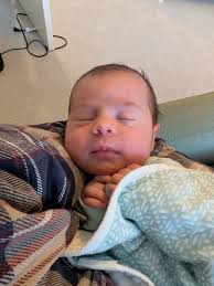 Babysitting options for 1-year-old in the area?