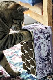15 New Uses For Cardboard Tubes That Are Straight Up Genius Diy Cat Toys Cat Diy Cat Hacks