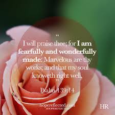 The human body is the most complex and unique organism in the world, and that complexity and uniqueness speaks volumes about the mind. Encouragement Fearfully And Wonderfully Made Psalm 139 14 Hope Reflected