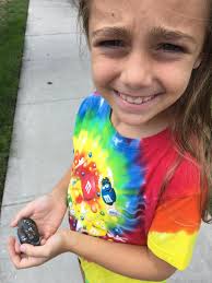 Anyone know what was going