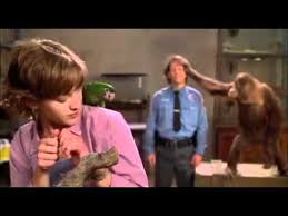 Use custom templates to tell the right story for your business. A Very Funny Scene From The Animal Youtube