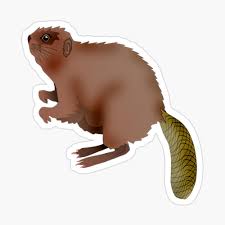 Chipper the beaver, (a see and read beginning to read book) dodd, ed on amazon.com. The Wood Chipper Photographic Print By Wahine24 Redbubble