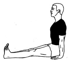 Waaat Translate These Yoga Poses Virily By Ishtar Darlington A Fun Yoga Quiz Yoga Quiz Asanas International Yoga Day Yoga Day World Yoga Day