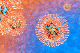 There are two types of hsv: Bx795 Molecule Clears Hsv 1 Infection In Human Corneal Cells