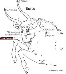 Image result for taurus constellation drawing
