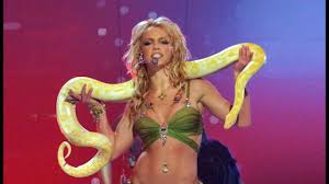 Image result for britney spears python
