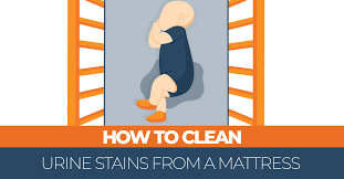 This will require a cleaning agent like vinegar, baking soda, a protease enzyme, or hydrogen peroxide. How To Remove Urine Stains And Smell From A Mattress Right Now