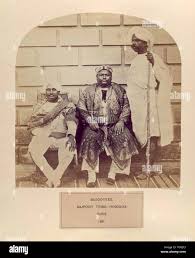 photographic illustrations ...