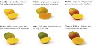 Mangos Mango Types Mango Varieties Mango