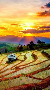 Bishop Museum Of Science And Nature Jobs Pin By Arvizualexiss On Views Beautiful Landscapes Beautiful Nature Nature Photography