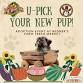 U-Pick Your New Pup! event image
