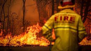 We did not find results for: Australia Wildfires Here S What You Need To Know About The Deadly Blazes Cnn