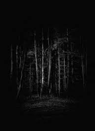 Best Black And White Nature Photos Photography Black And White Nature Forests Dark 22 Best Ideas Forest Photography Horror Photography Dark Photography