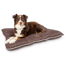 With that in mind, the best bed for serious chewers is one like the k&h original pet cot, which does away with tempting fiber filling all together. The 7 Best Outdoor Dog Beds Of 2021